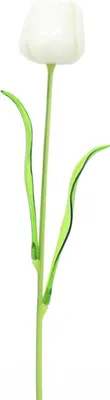 Produktbild von artplants.de Kunststoff Tulpe ISHITA in Glasoptik, 12 Stück, weiß, 60 cm - Kunstulpen