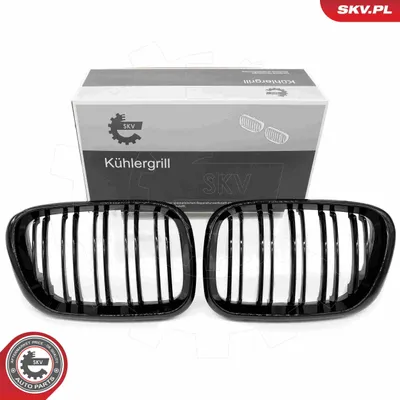 Produktbild von ESEN SKV 66SKV275 Kühlergrill Frontgrill für BMW X5 (E53) Carbon