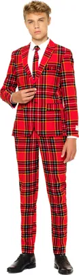 Produktbild von OppoSuits Kostüm für Teenager rot