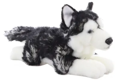 Zdjęcie produktu dla Husky pluszowy leżący 35 cm