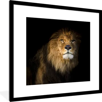 Produktbild von MuchoWow® MuchoWow® Gerahmtes Poster Löwe - Tier - Schwarz 40x40 cm - Poster mit zchwarzem Bilderrahmen - Poster - Plakat im Rahmen