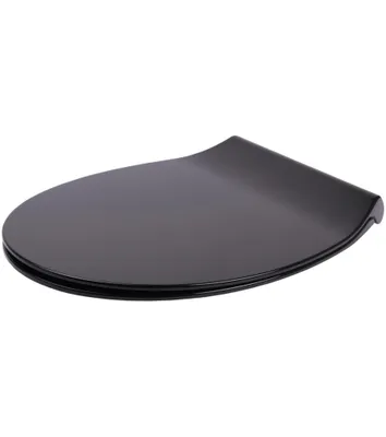 Obrázok produktu pre SANILO WC sedadlo s mechanizmom Soft-Close Flat Black, WC sedadlo, WC sedadlo, WC sedadlo, WC sedadlo, WC sedadlo, WC sedadlo priamo od výrobcu