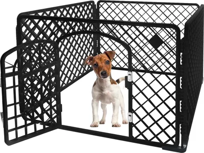 A small dog stands inside a black plastic playpen.
