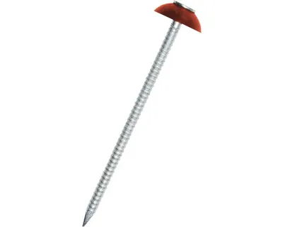 Zdjęcie produktu dla Gwoździe do płyt asfaltowych 2,8x70 mm 200 szt. czerwone
