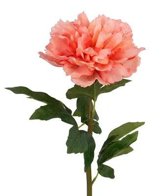 Produktbild von Clayre & Eef Kunstblume Rosa Kunststoff