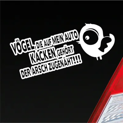Produktbild von Auto Aufkleber Vögel die auf mein Auto kacken, gehört der Arsch zugenäht! 19x8 cm Weiss Matt Sticker Heckscheibenaufkleber