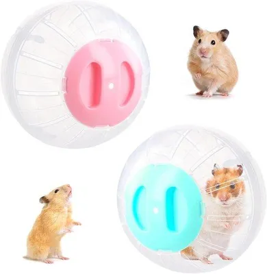 Produktbild von Miniatur-Transparenter Laufstuhl für Kleintiere - Laufrad für Ratten in Blau-Pink
