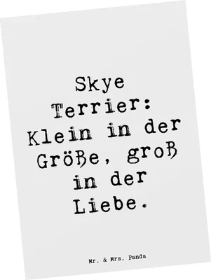 Produktbild von Mr. & Mrs. Panda Postkarte Spruch Skye Terrier Liebe - Weiß - Geschenk, treu, Hunderassen, Hunderasse, Vielfalt, Unabhängigkeit, Grußkarte, Ansichtskarten, Postkarten