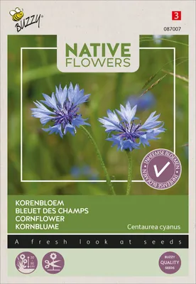 Artikelbild 2 von 'Kornblume' aus der Kategorie Kornblumensamen