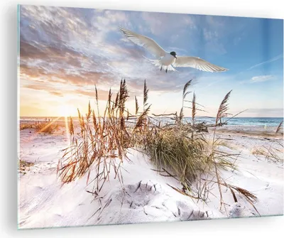 Produktbild von Bilder auf glas - Einteilig - Möwe Meer Küste - 70x50cm - Glasbilder - Wandbilder - Bilder - zum Aufhängen bereit - Wanddekoration aus Glas - Glas Bilder - Wandbild auf Glas - GAA70x50-4902