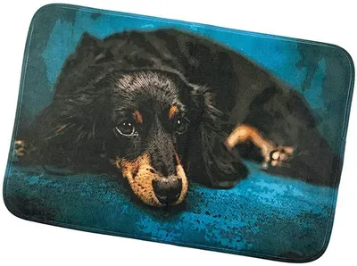 Image de Tapis antidérapant Chien 40x60 cm - Teckel