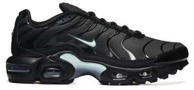Produktbild von Schuhe Nike Air Max Plus GS IF6169010