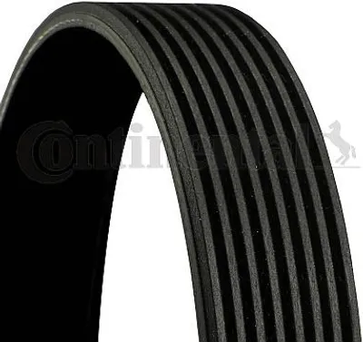 Produktbild von Continental ContiTech 8PK1115 Keilrippenriemen für VOLVO FH 16 1115mm