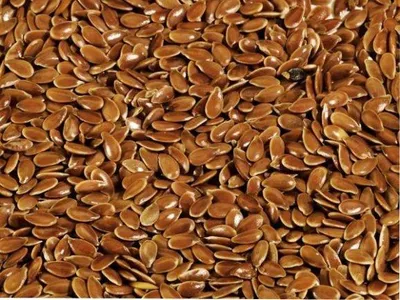 Productafbeelding van Wielink Lijnzaad 20KG