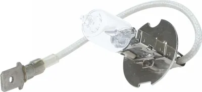Obrázek produktu pro Autožárovka H3 12V 55W Pk22s - blister