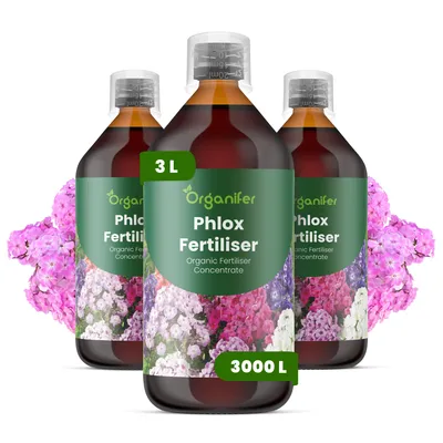 Obrázek produktu pro Phlox Tekuté Hnojivo 3x1 L – 2-1-8 NPK – Pro Phlox – Podporuje Rovnomernú Tvorbu Květů & Zdravé Rostliny – Organifer