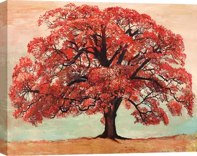 Produktbild von Leinwandbilder - Jan Eelder - Roteiche - 60 x 40 cm