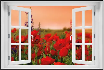Produktbild von Wallario Wandbild mit Fenster-Illusion: Mohnblumen auf dem Feld, Größe: 61 x 91,5 cm, Poster mit schwarzem Aluminiumrahmen