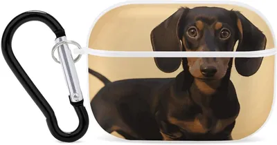 Immagine prodotto di Custodia per AirPod Pro - Custodia per auricolari - Protezione per cuffie - Motivo carino con bassotto