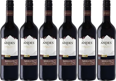 Produktbild von Andes Merlot Qualitätswein trockener Rotwein aus Chile 4500ml, 6er Pack
