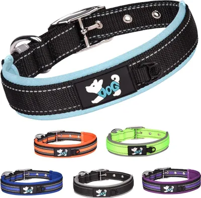 Produktbild von Verstellbares Hundehalsband aus Neopren - Reflektierend, Atmungsaktiv und Wetterfest für Training (Orange, L)