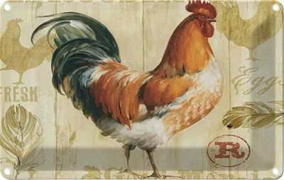 Produktbild von vianmo Blechschild 12x18 cm Huhn Hühner Eggs frische Eier Tier Haustier