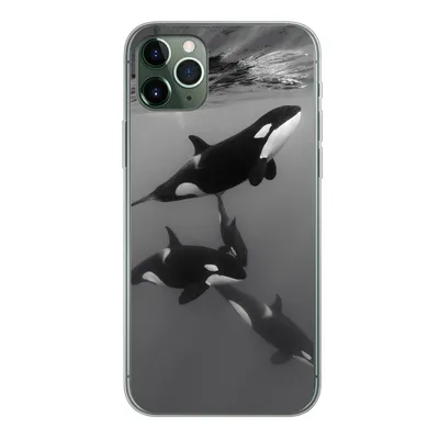 Produktbild von MuchoWow® Handyhülle Schutzhülle Hülle für iPhone 11 Pro Max Orca - Wasser - Schwarz - Weiß Silikon Softcase Handy Hülle - Schutz