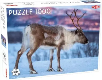 Obrázek produktu pro Tactic 58668, 1000 kusů, Zvířata, 9 rok/roky
