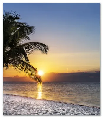 Produktbild von Wallario Herdabdeckplatte aus Glas, Größe 52 x 60 cm 1-teilig, Motiv Palme am Strand - Sonnenuntergang über dem Meer