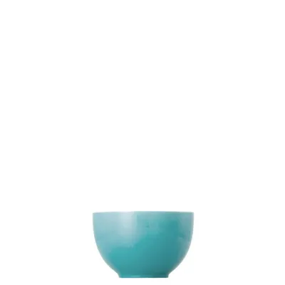 Obrázok produktu pre Thomas 10850-408528-15456, Porcelán, 0,45 L