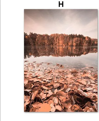 Produktbild von TPFLiving Kunstdruck LW-1727 (OHNE RAHMEN) Poster - Leinwand - Wandbild - Hochauflösender Giclée-Druck, langlebig und hochwertig - Romantische Herbstlandschaft -  - Größe: 21x30cm