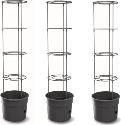 Produktbild von 3x Tomatenpflanze aus Kunststoff Set 3 Stk Pflanzkübel 28 L Tomatenzüchter Tomatentopf Übertopf Gemüsen Tomaten Waschen