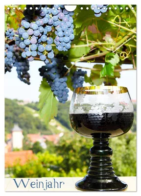Produktbild von Weinjahr (Wandkalender 2027 DIN A4 hoch), CALVENDO Monatskalender