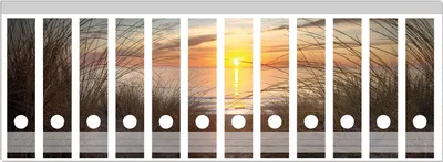 Produktbild von Wallario Ordnerrücken Sticker, selbstklebend für breite Ordner, 12 Stück, Motiv Sonnenuntergang am Strand