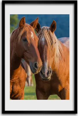 Produktbild von Bild - Bilderrahmen - 40 cm x 60 cm - MDF - Rahmen - Wandkunst - Zwei Pferde