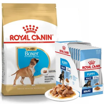 Produktbild von Royal Canin Puppy Boxer Trockenfutter für Welpen 12kg + Nassfutter in Soße 12x85g