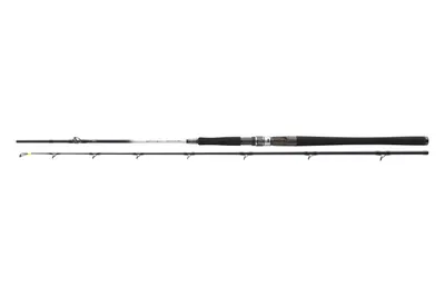 Productafbeelding van Daiwa Steckhengel Grandwave BC, 2,25 meter, 30-40 lbs