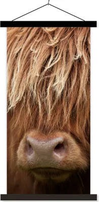Produktbild von MuchoWow® Textilposter Schottisches Hochlandrind - Nase - Haare 40x80 cm mit schwarzem Rahmen - Wandemalerei
