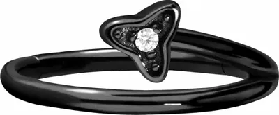 Produktbild von Ohrpiercing, Nasenpiercing, Septum Piercing Chirurgenstahl Segmentring Clicker KRISTALLBLATT  Schwarz Innendurchmesser: 10 mm