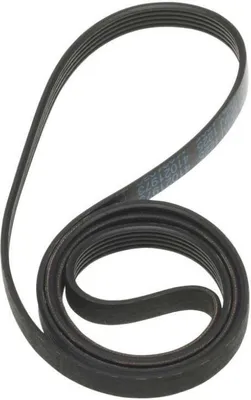 Produktbild von Candy Hoover Riemen, Ziehkeilriemen 1225J5 für Waschmaschine - Nr. 41021973, 41039460