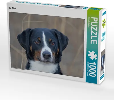 Produktbild von CALVENDO Puzzle Der Blick | 1000 Teile Lege-Größe 64x48cm Foto-Puzzle für glückliche Stunden