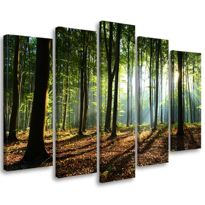 Image de Tableau en toile 5 pièces forêt verte nature 150 x 100 cm Feeby tableau mural vert prêt à accrocher