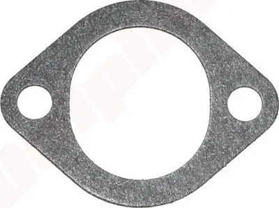 Immagine prodotto di Guarnizione del carburatore Per Briggs & Stratton ( 270824 , 272554S )