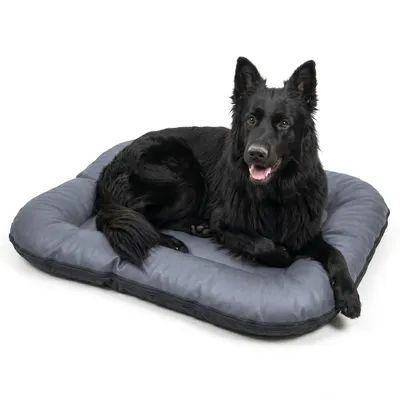 Produktbild von 4L Textil ELLA Hundematratze aus Kunstleder, wasserabweisend, abwischbar, Bezug abnehmbar, für mittelgroße Hunde, 90x70 cm, Dunkelgrau
