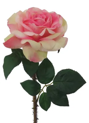 Produktbild von Kunstblume, Seidenblume, ROSE. Ca 60cm. Rosen 1 Stück. DUNKELROSA