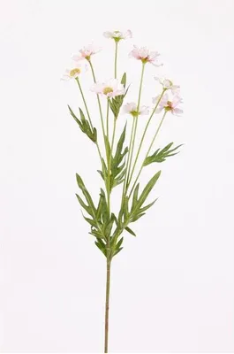 Produktbild von artplants.de Künstliche Blume Gänseblümchen LASAI, rosa, 75cm - Deko Margeriten