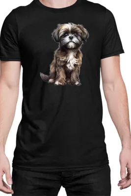 Produktbild von Herren T-Shirt Dogs Breeds Shih Tzu Dog Breed 006, Man 5XL / Schwarz