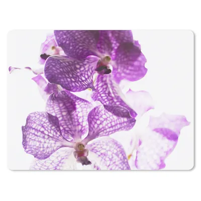 Produktbild von MuchoWow® Mauspad Mousepad Lila Orchideen 40x30 cm - Mousepads - Maus Mat - Pad - Mausunterlage - Anti Rutsch