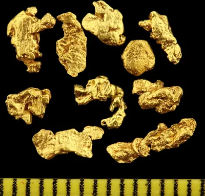 Several gold nuggets are arranged on a black background, with a ruler at the bottom.