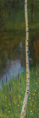 Produktbild von Gustav Klimt Kunstdruck Bild - Seeufer Mit Birken, 1901 (91 x 30 cm)